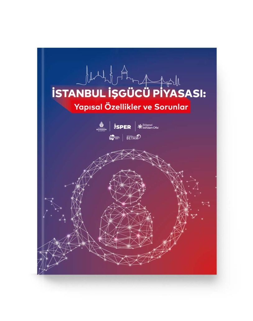 İstanbul İşgücü Piyasası Yapısal Özellikler ve Sorunlar Araştırma Raporu