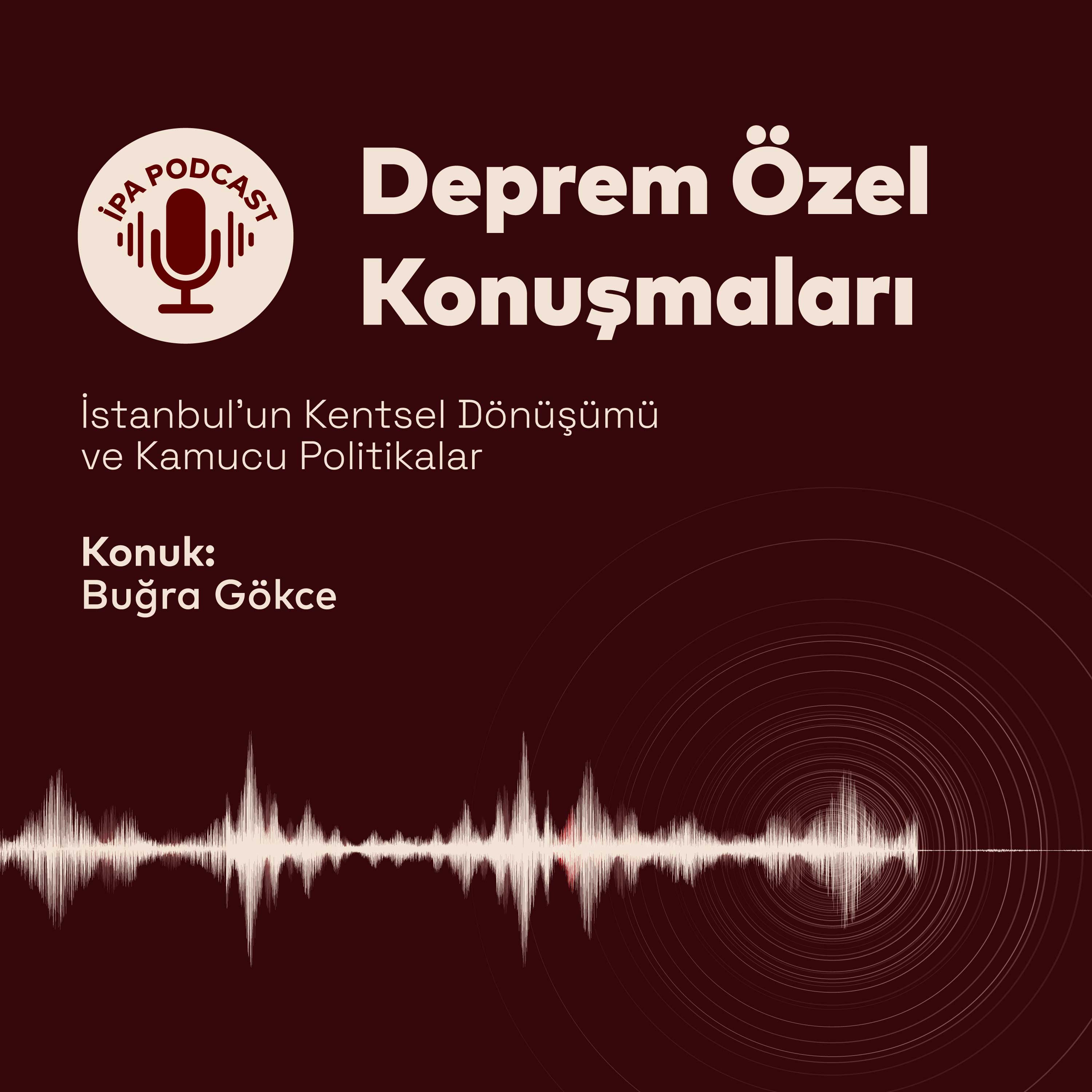 İstanbul'un Kentsel Dönüşümü ve Kamucu Politikalar