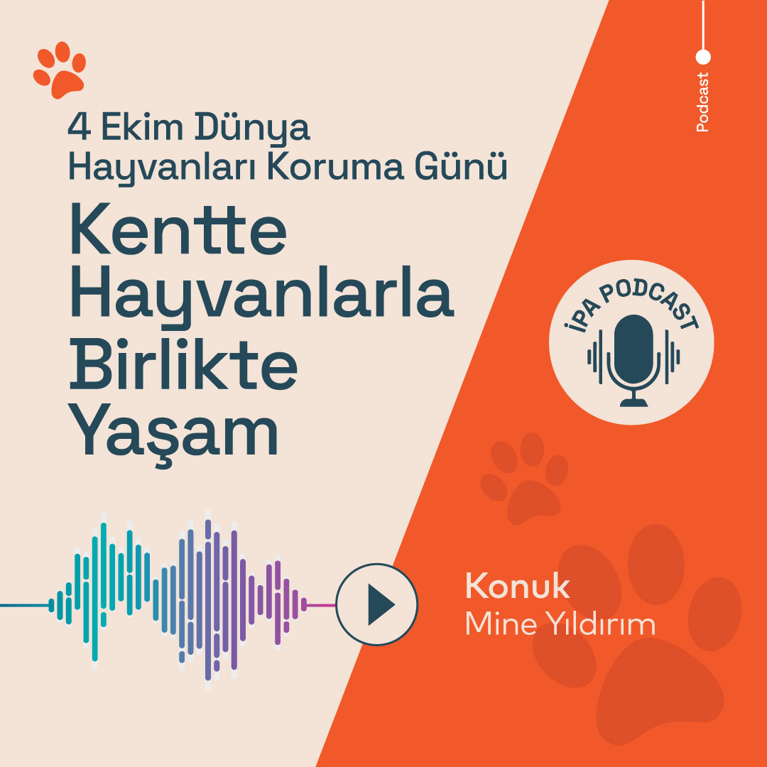 Kentte Hayvanlarla Birlikte Yaşam